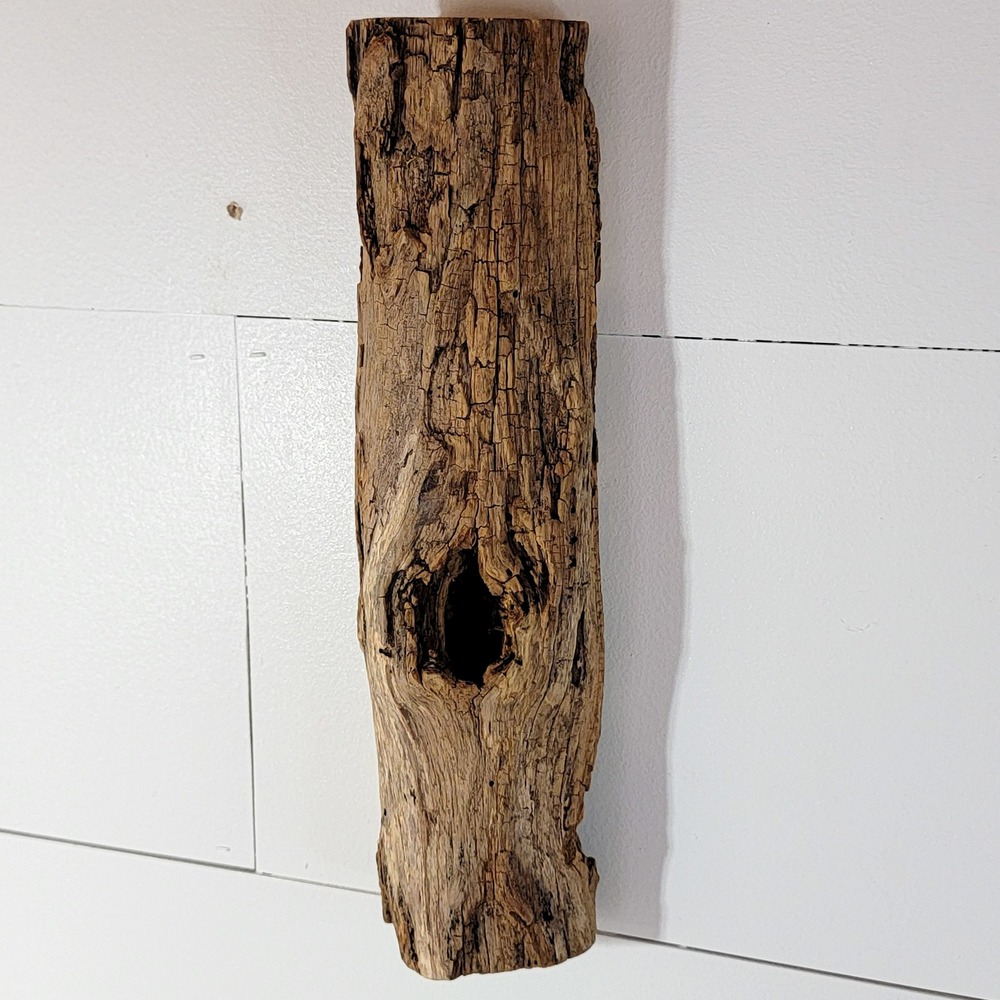 Natural Driftwood Wall Hanging Air Plant Holder Rustic Reclaimed Wood Decor